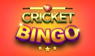 Play Cricket Bingo